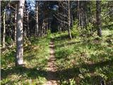 Col - Križna gora above Col